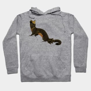 Nightweasel Hoodie